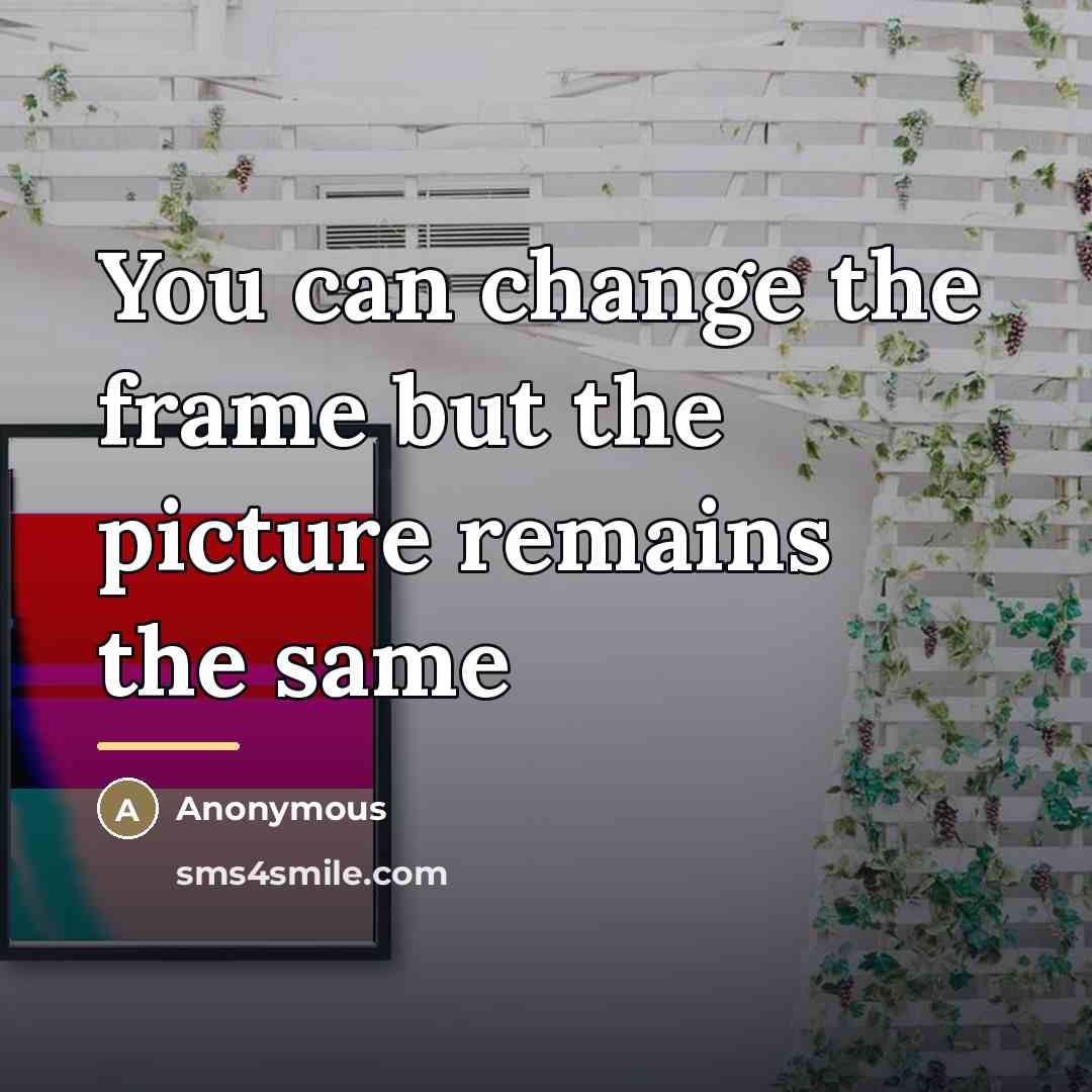 “You can change the frame but the picture remains the…” quote by Anonymous