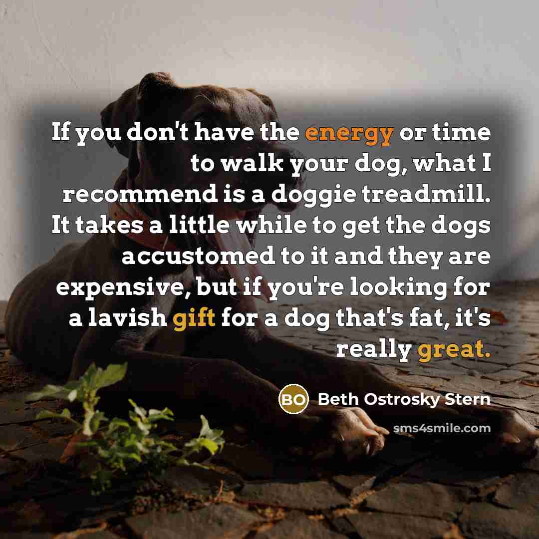 “If you don't have the energy or time to walk your dog, what I recommend is a doggie treadmill. It takes a little while to get the dogs accustomed to it and they are expensive, but if you're looking for a lavish gift for a dog that's fat, it's really great.” quote by Beth Ostrosky Stern