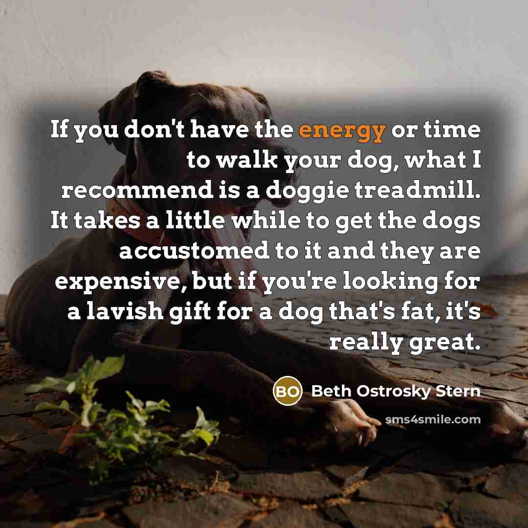 “If you don't have the energy or time to walk…” quote by Beth Ostrosky Stern