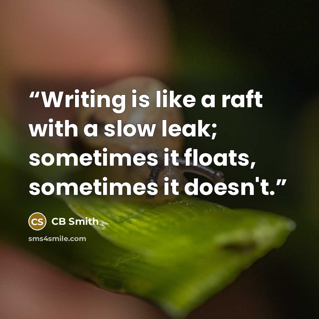 “Writing is like a raft with a slow leak; sometimes it floats, sometimes it doesn't.” quote by CB Smith