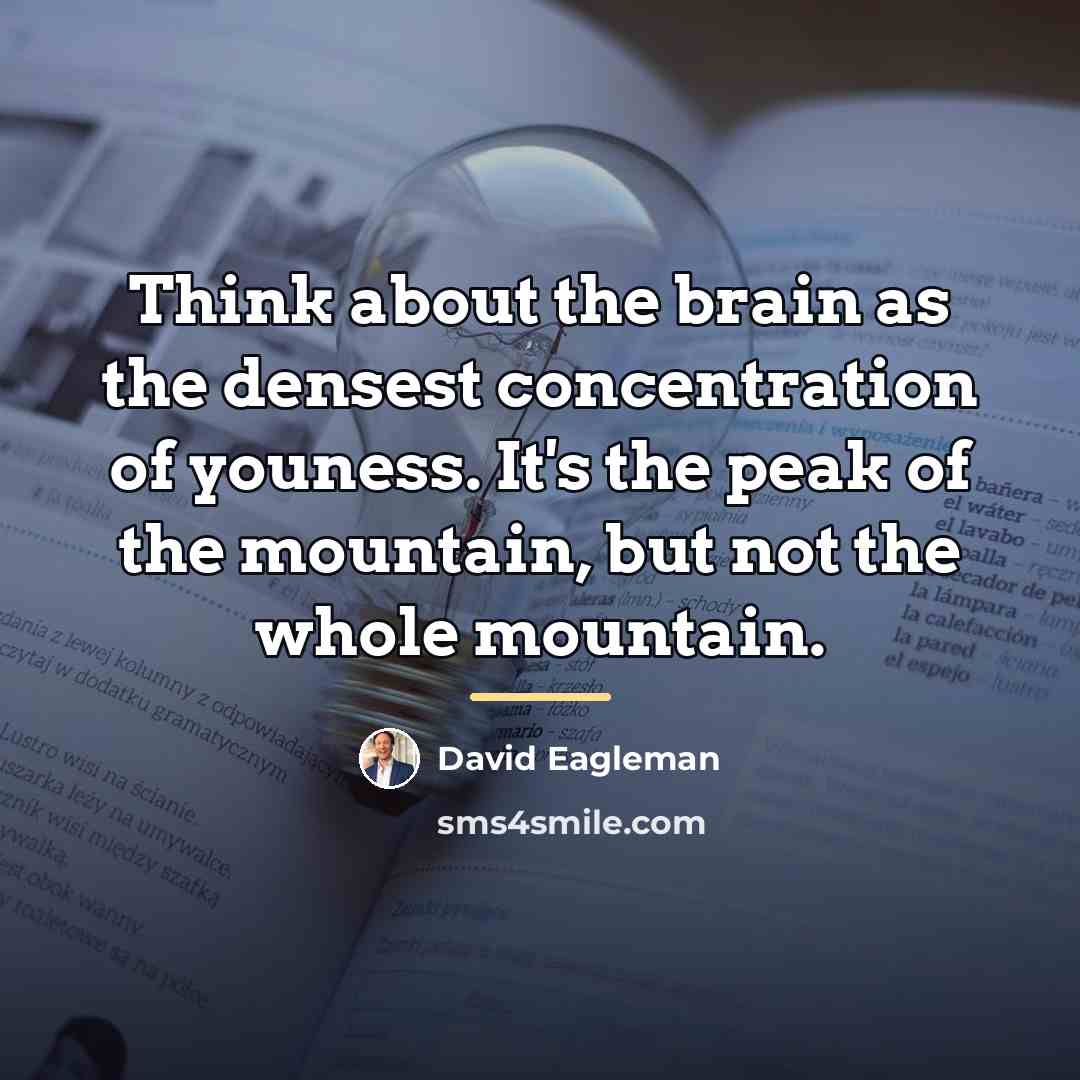 “Think about the brain as the densest concentration of youness.…” quote by David Eagleman