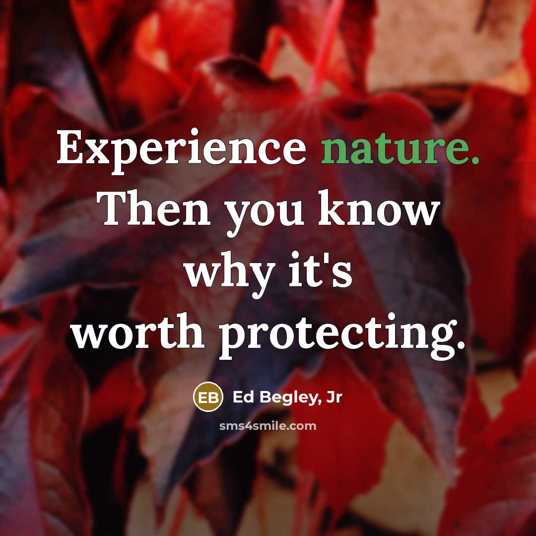 “Experience nature. Then you know why it's worth protecting.…” quote by Ed Begley, Jr