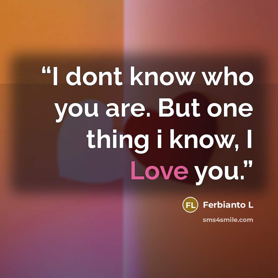 “I dont know who you are. But one thing i know, I Love you.” quote by Ferbianto L