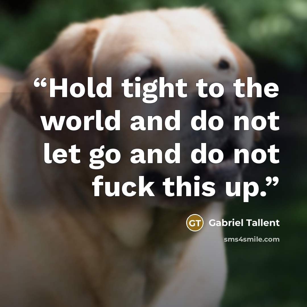 “Hold tight to the world and do not let go and do not fuck this up.” quote by Gabriel Tallent
