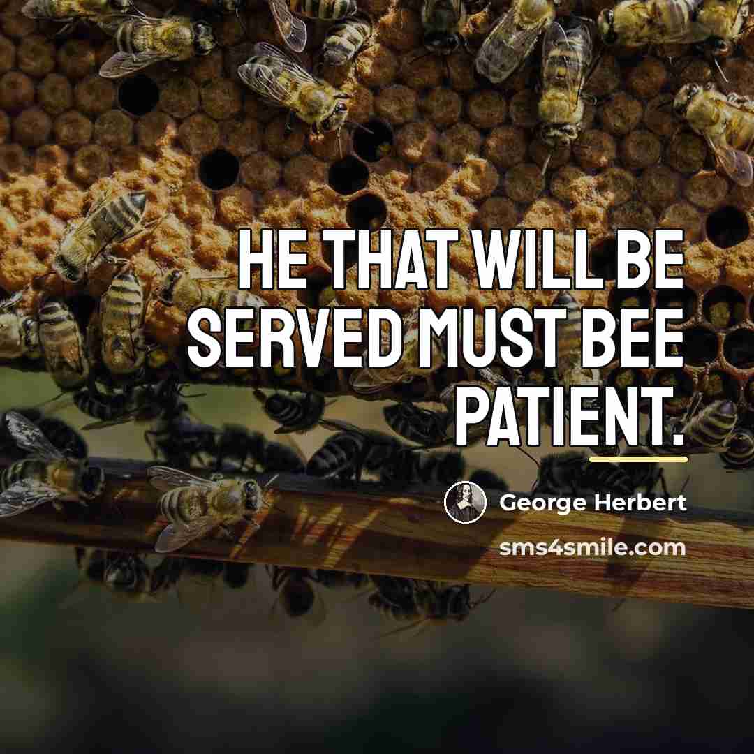 “He that will be served must bee patient.…” quote by George Herbert