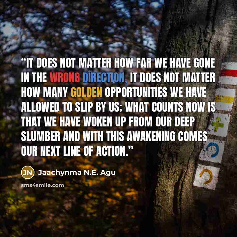 “It does not matter how far we have gone in the wrong direction, it does not matter how many golden opportunities we have allowed to slip by us; what counts now is that we have woken up from our deep slumber and with this awakening comes our next line of action.” quote by Jaachynma N.E. Agu