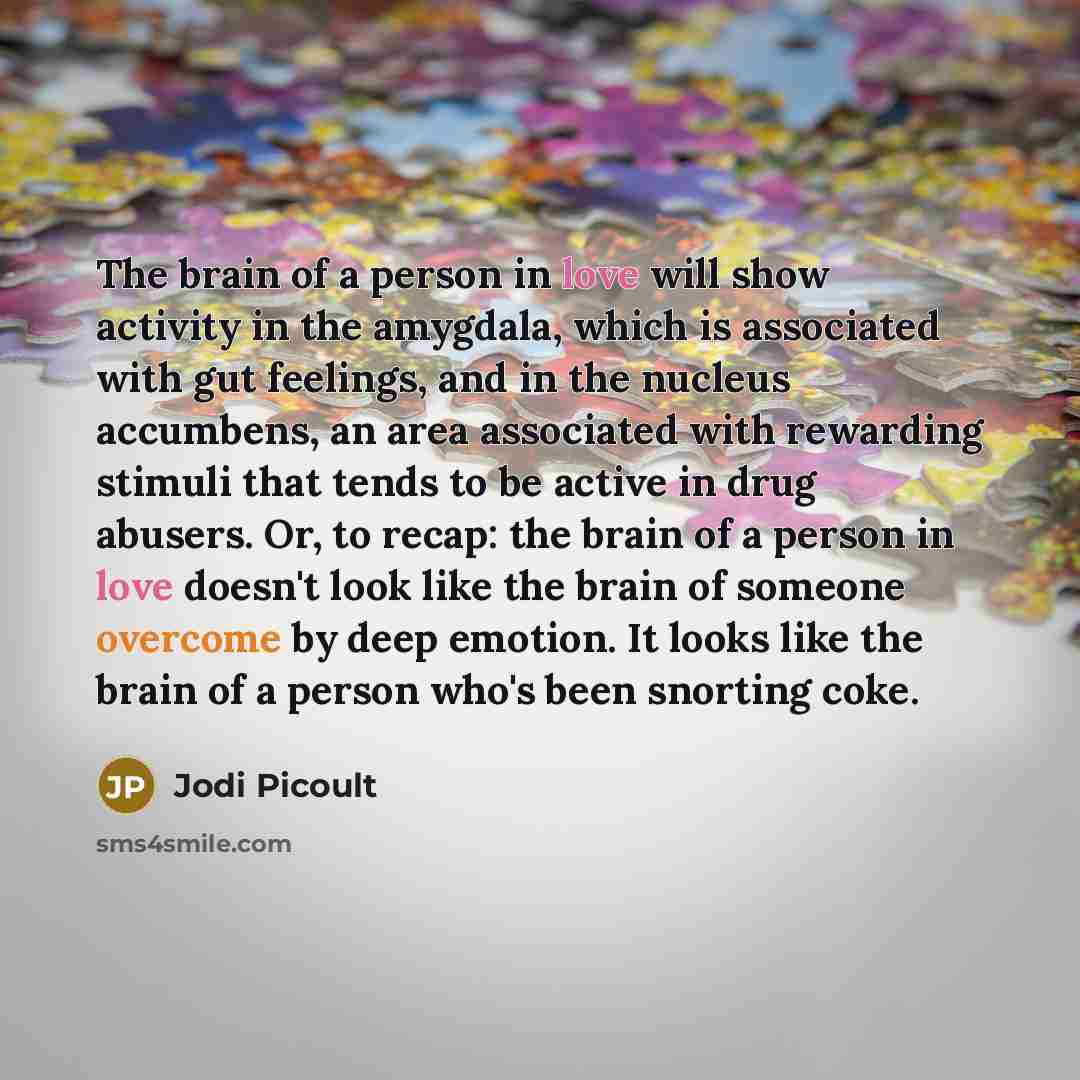 “The brain of a person in love will show activity…” quote by Jodi Picoult