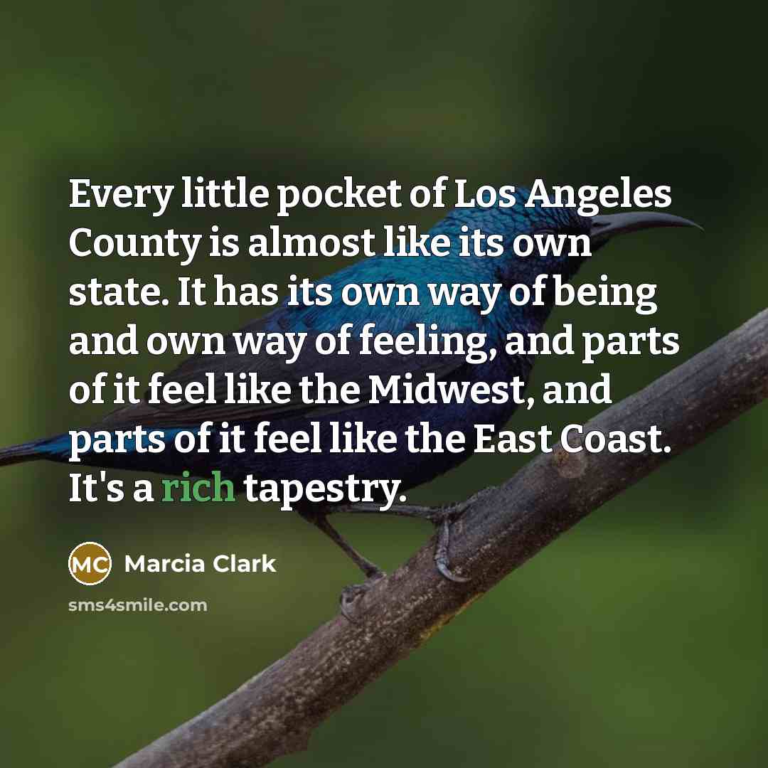 “Every little pocket of Los Angeles County is almost like…” quote by Marcia Clark