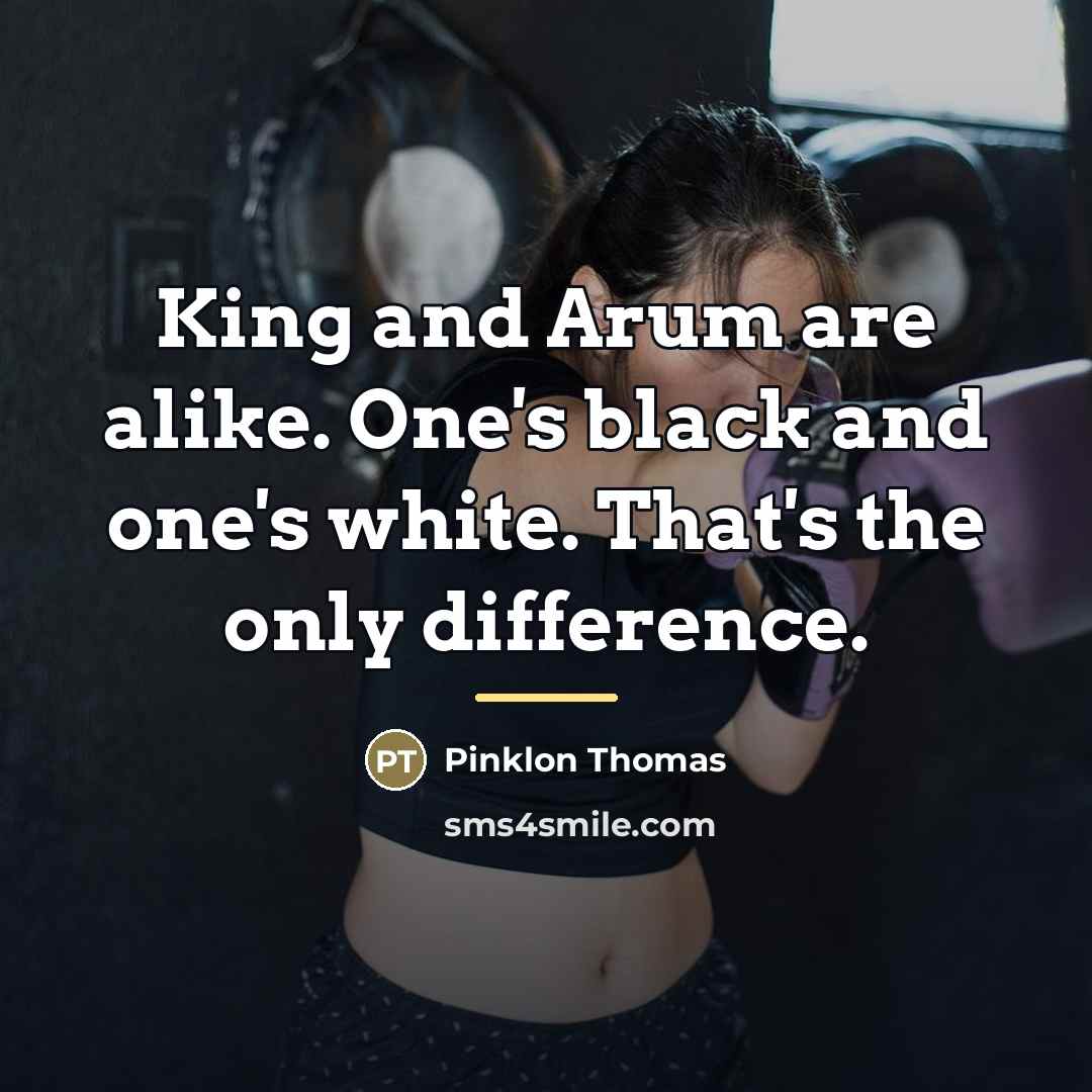 “King and Arum are alike. One's black and one's white.…” quote by Pinklon Thomas
