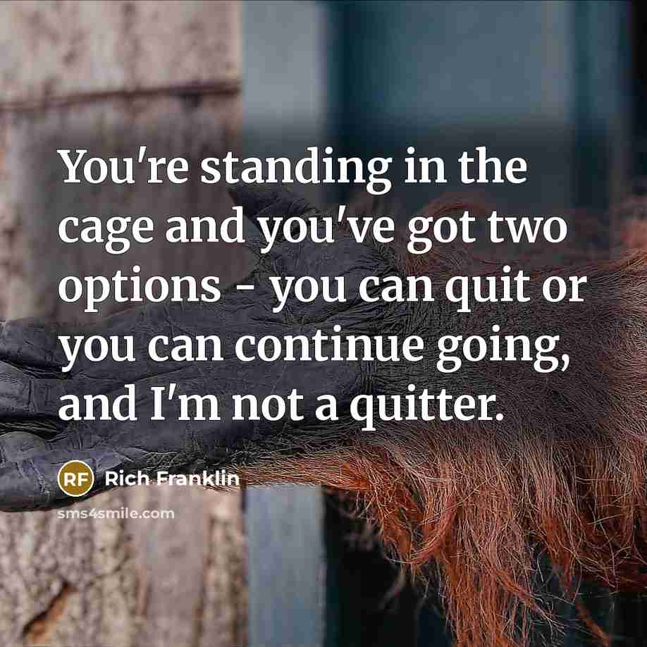 “You're standing in the cage and you've got two options…” quote by Rich Franklin