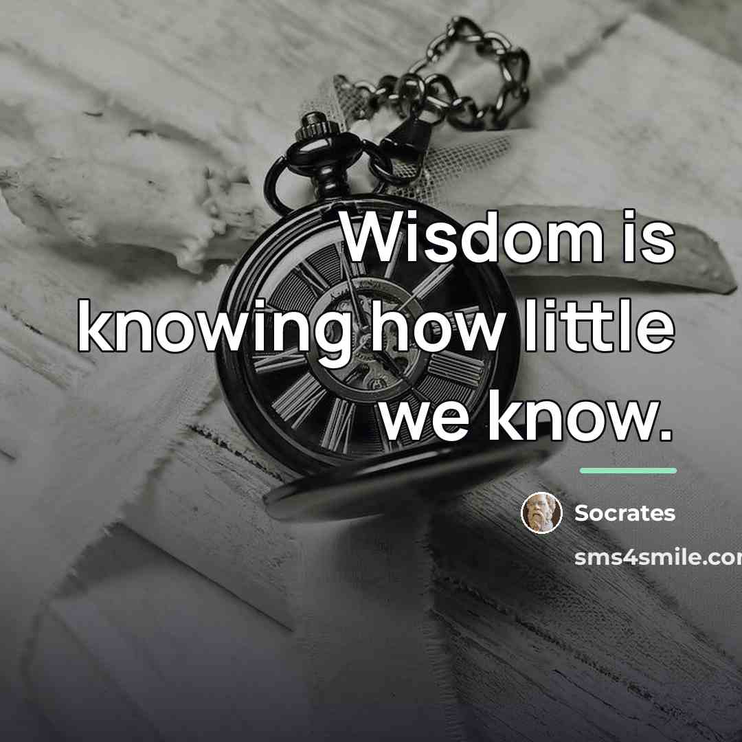 “Wisdom is knowing how little we know.…” quote by Socrates