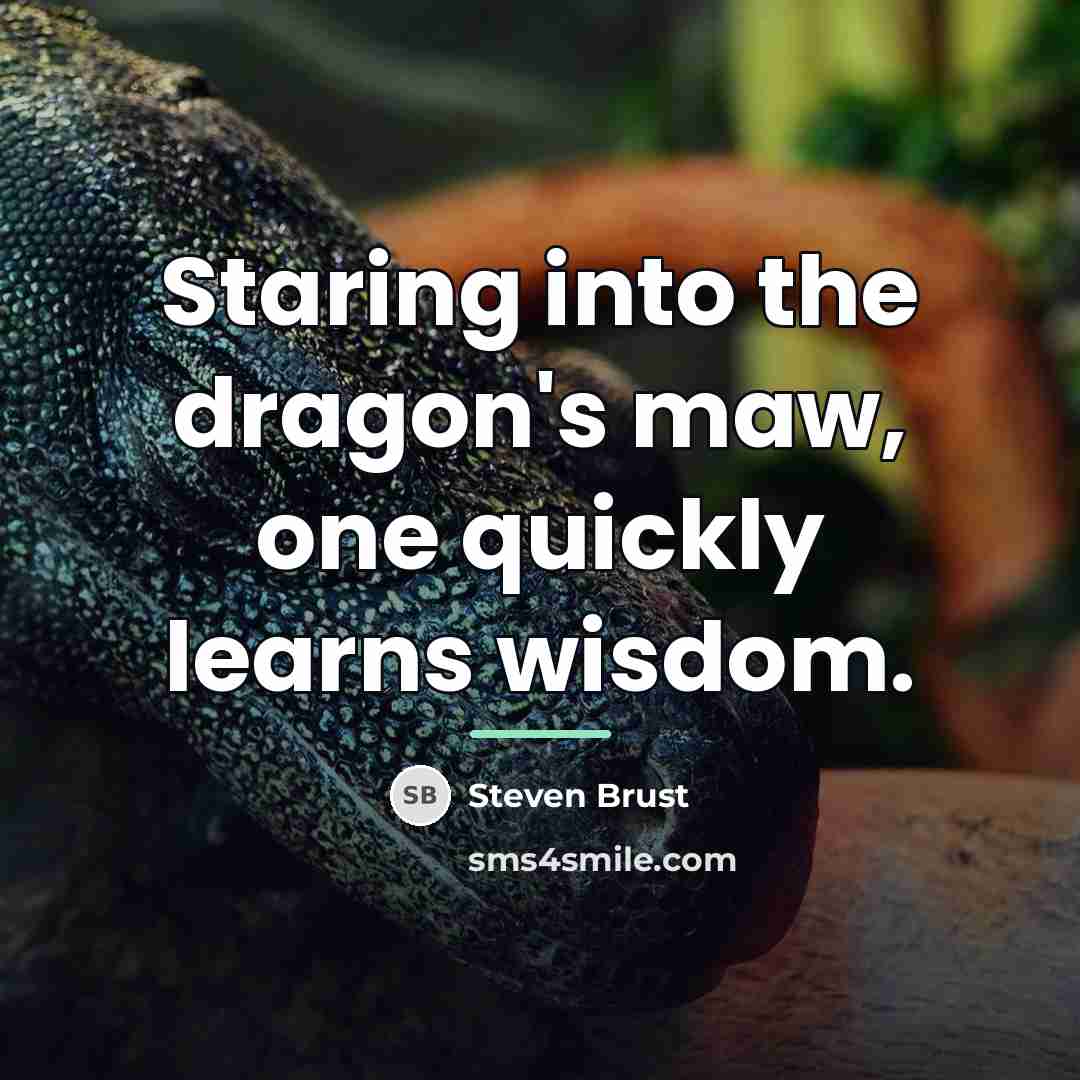“Staring into the dragon's maw, one quickly learns wisdom.…” quote by Steven Brust