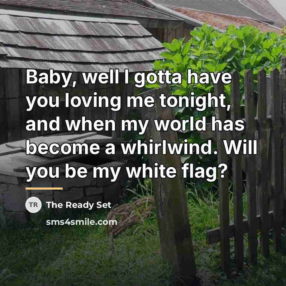 “Baby, well I gotta have you loving me tonight, and…” quote by The Ready Set