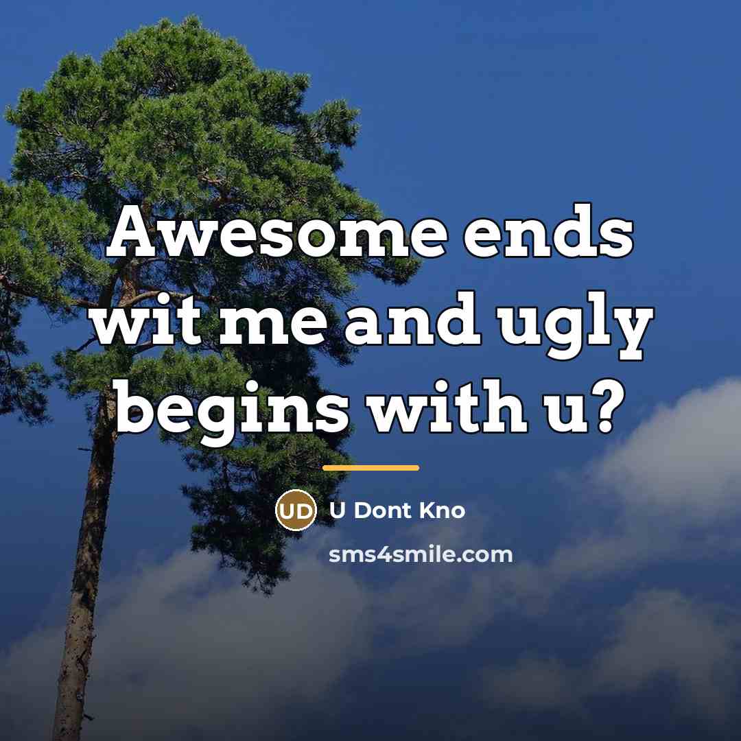 “Awesome ends wit me and ugly begins with u?…” quote by U Dont Kno