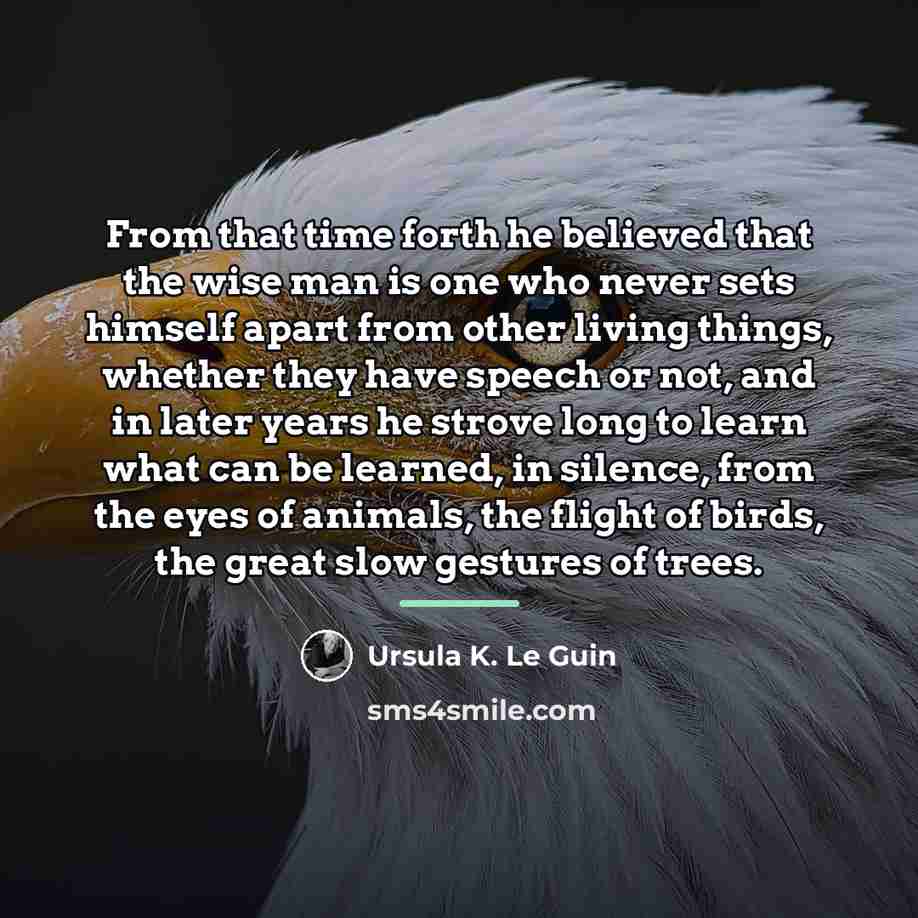 “From that time forth he believed that the wise man…” quote by Ursula K. Le Guin