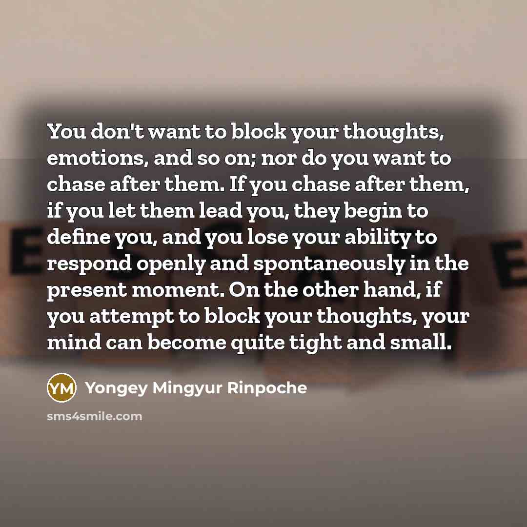 “You don't want to block your thoughts, emotions, and so…” quote by Yongey Mingyur Rinpoche