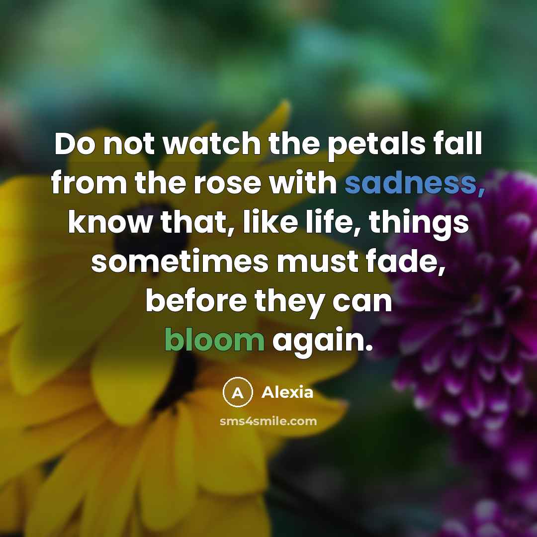 “Do not watch the petals fall from the rose with sadness, know that, like life, things sometimes must fade, before they can bloom again.” quote by Alexia