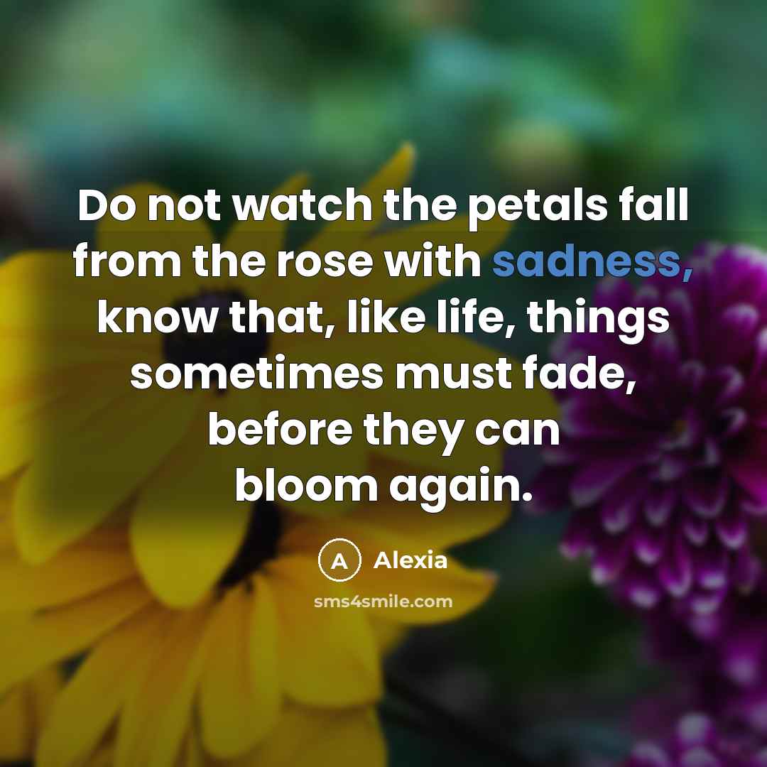 “Do not watch the petals fall from the rose with…” quote by Alexia
