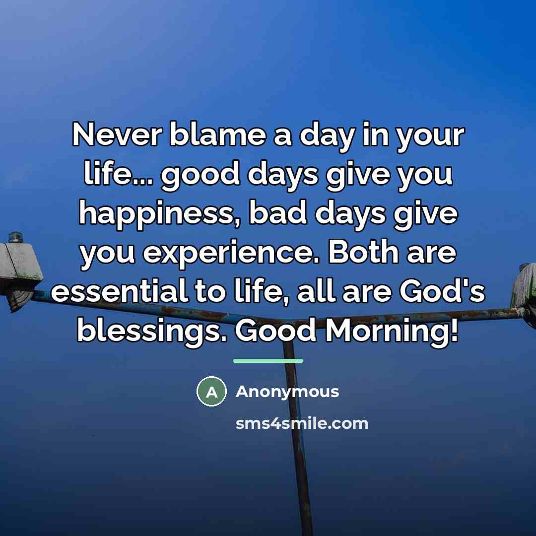 “Never blame a day in your life... good days give…” quote by Anonymous