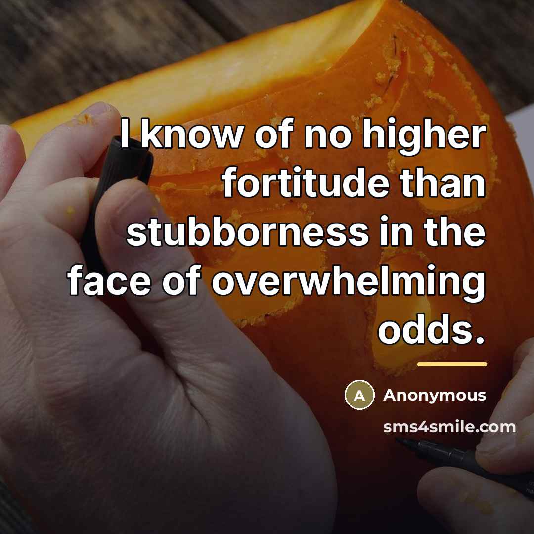 “I know of no higher fortitude than stubborness in the…” quote by Anonymous
