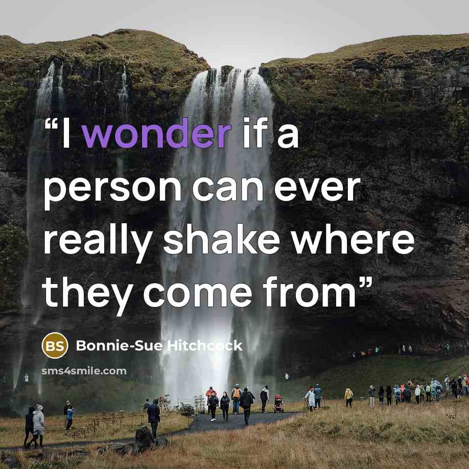 “I wonder if a person can ever really shake where they come from” quote by Bonnie-Sue Hitchcock