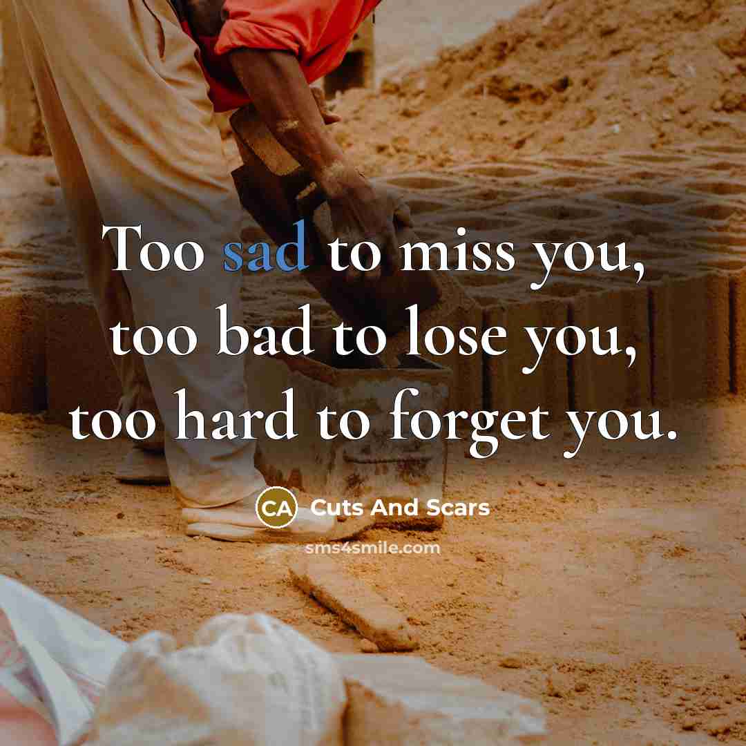 “Too sad to miss you, too bad to lose you,…” quote by Cuts And Scars