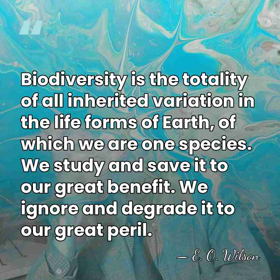 Biodiversity is the totality of all inherited variation in the life forms&hellip; - E. O. Wilson