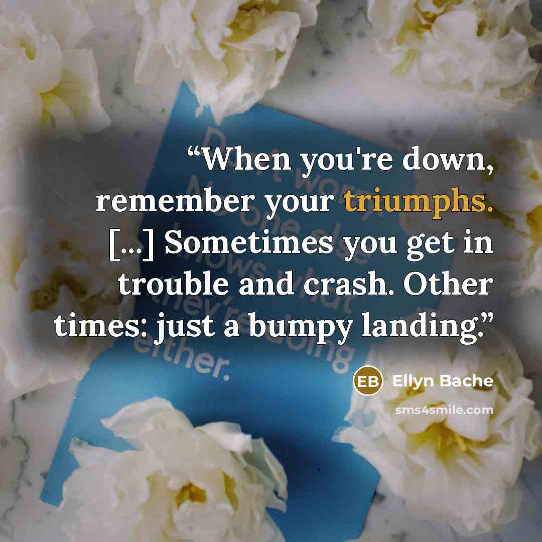 “When you're down, remember your triumphs. [...] Sometimes you get in trouble and crash. Other times: just a bumpy landing.” quote by Ellyn Bache