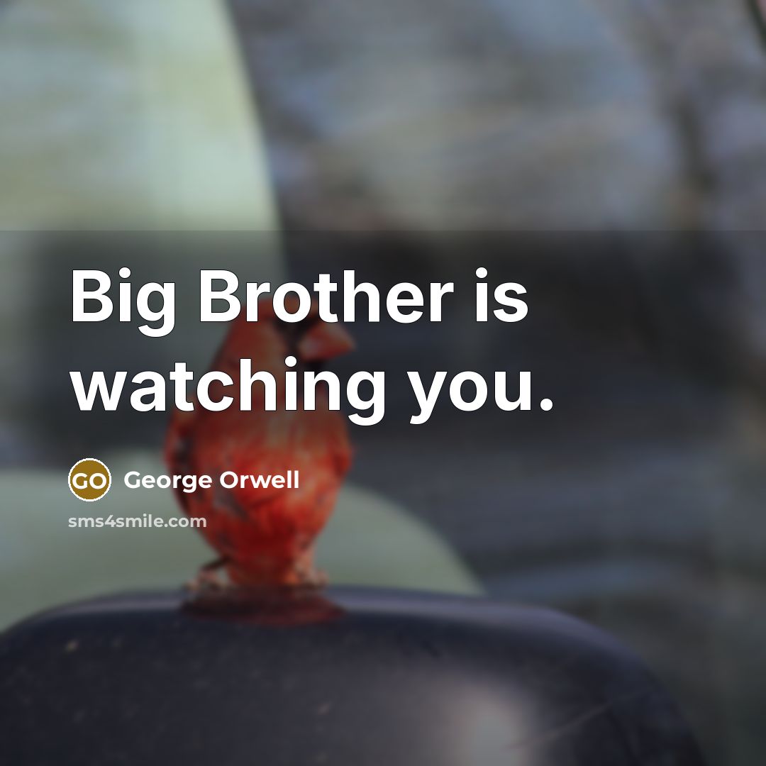 “Big Brother is watching you.” quote by George Orwell