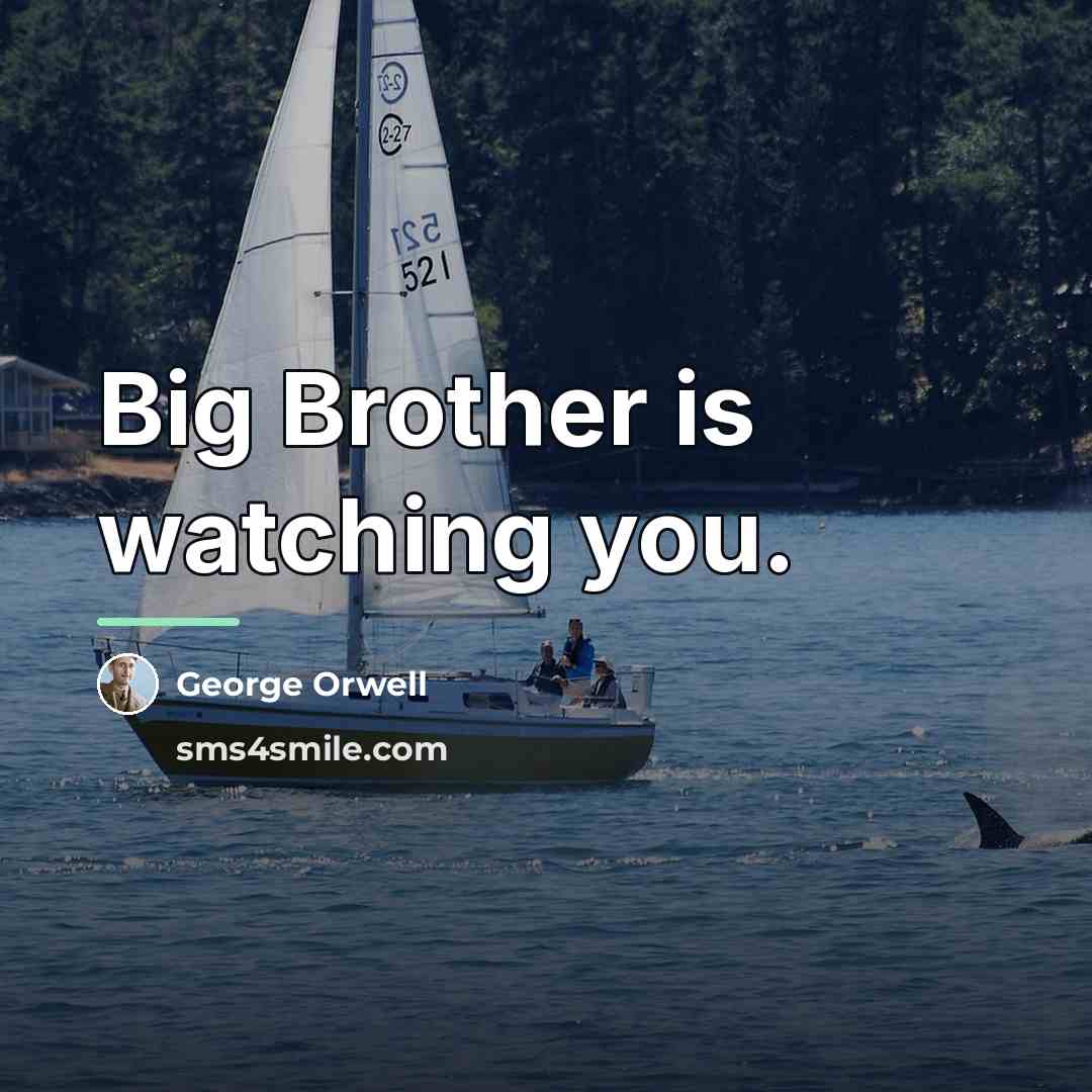 “Big Brother is watching you.…” quote by George Orwell