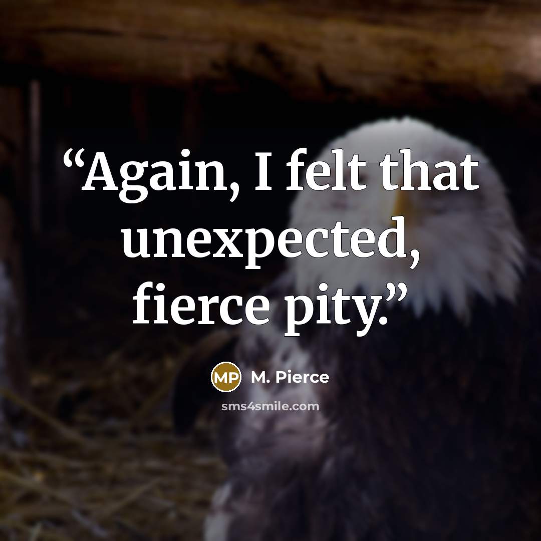 “Again, I felt that unexpected, fierce pity.” quote by M. Pierce