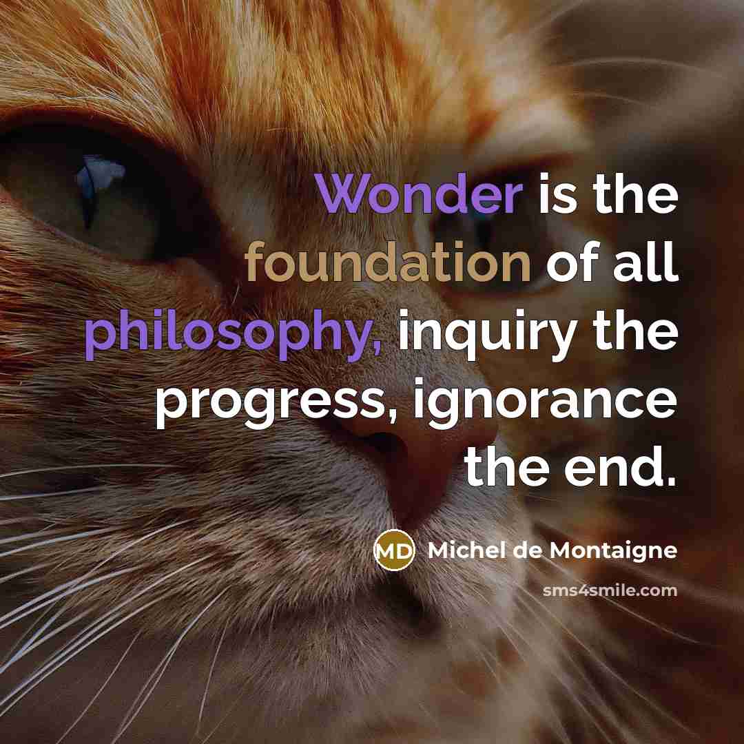 “Wonder is the foundation of all philosophy, inquiry the progress,…” quote by Michel de Montaigne