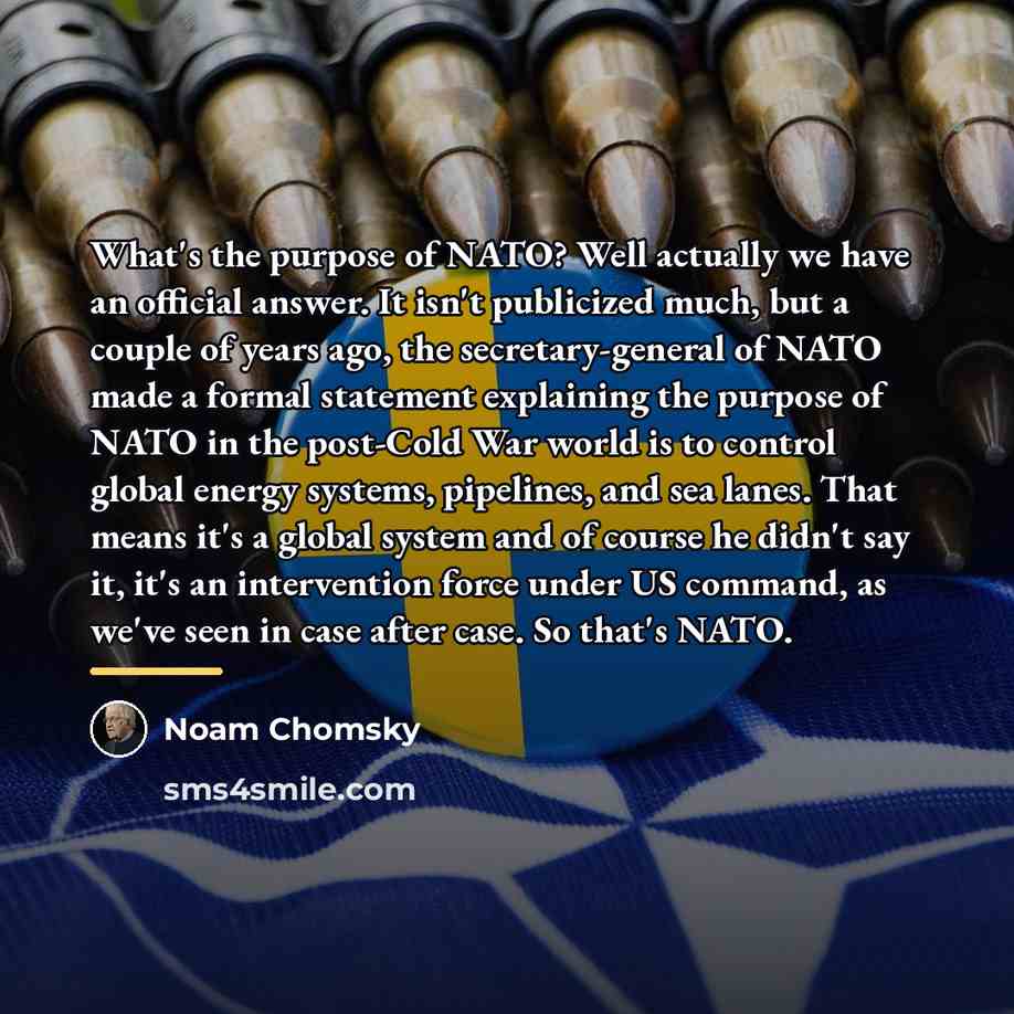 “What's the purpose of NATO? Well actually we have an…” quote by Noam Chomsky