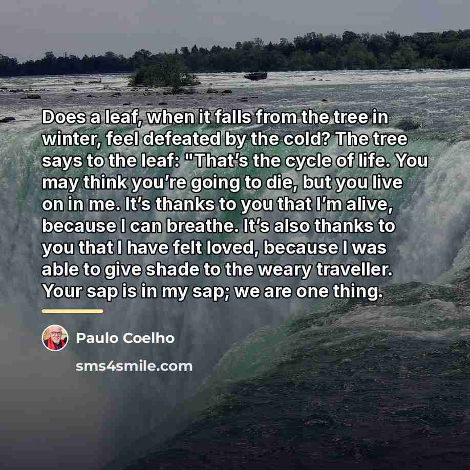 “Does a leaf, when it falls from the tree in…” quote by Paulo Coelho