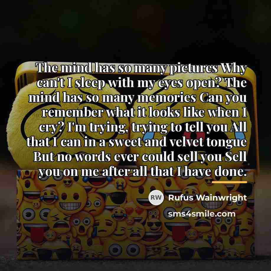 “The mind has so many pictures Why can't I sleep…” quote by Rufus Wainwright