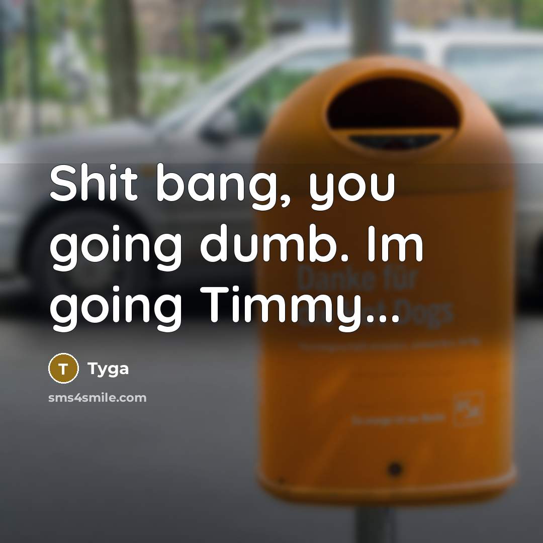 “Shit bang, you going dumb. Im going Timmy...” quote by Tyga