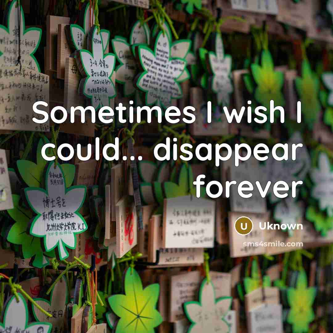 “Sometimes I wish I could... disappear forever” quote by Uknown