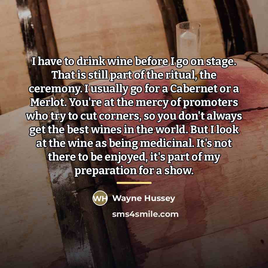 “I have to drink wine before I go on stage.…” quote by Wayne Hussey