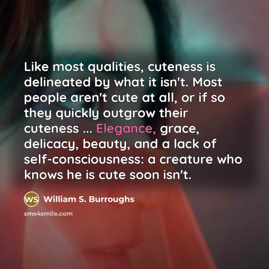 “Like most qualities, cuteness is delineated by what it isn't.…” quote by William S. Burroughs