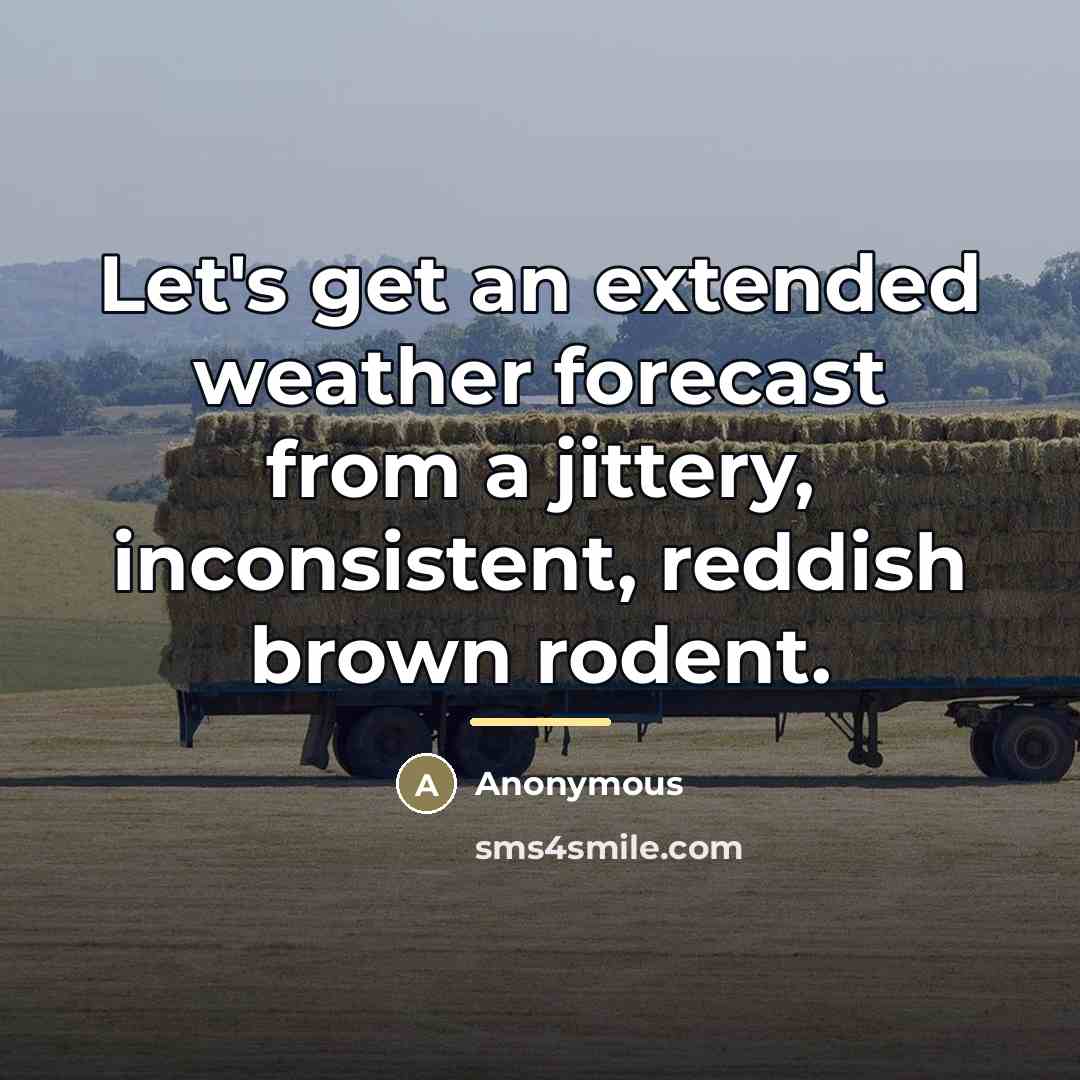 “Let's get an extended weather forecast from a jittery, inconsistent,…” quote by Anonymous