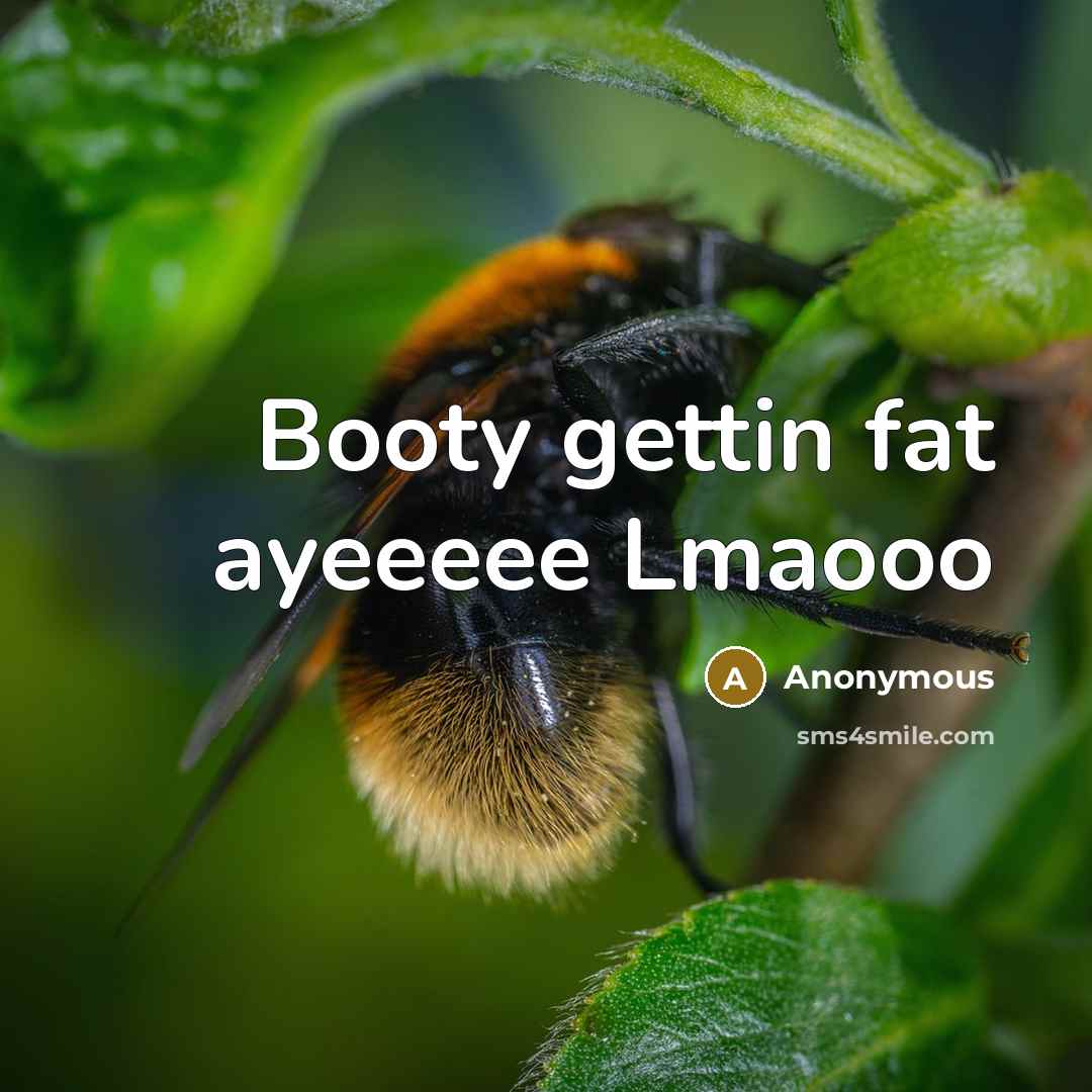 “Booty gettin fat ayeeeee Lmaooo” quote by Anonymous