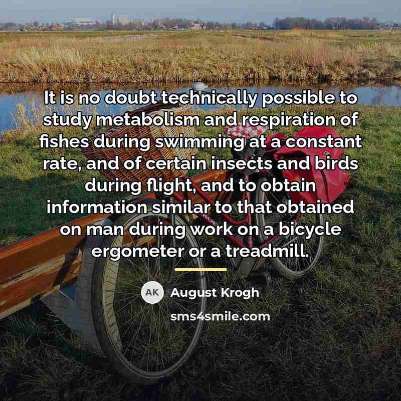 “It is no doubt technically possible to study metabolism and…” quote by August Krogh