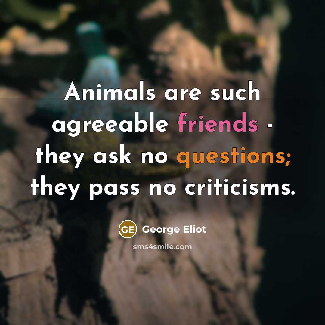 “Animals are such agreeable friends - they ask no questions; they pass no criticisms.” quote by George Eliot