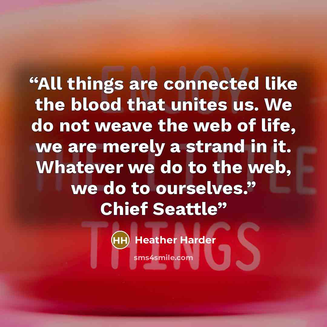 “All things are connected like the blood that unites us. We do not weave the web of life, we are merely a strand in it. Whatever we do to the web, we do to ourselves.” Chief Seattle” quote by Heather Harder