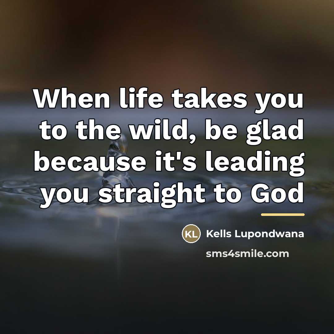 “When life takes you to the wild, be glad because…” quote by Kells Lupondwana