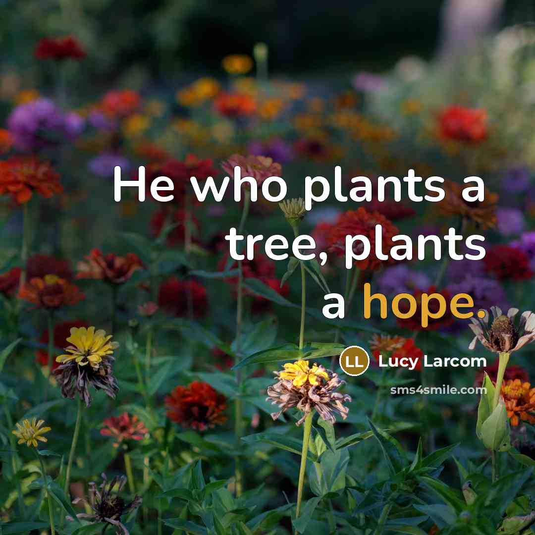 “He who plants a tree, plants a hope.” quote by Lucy Larcom