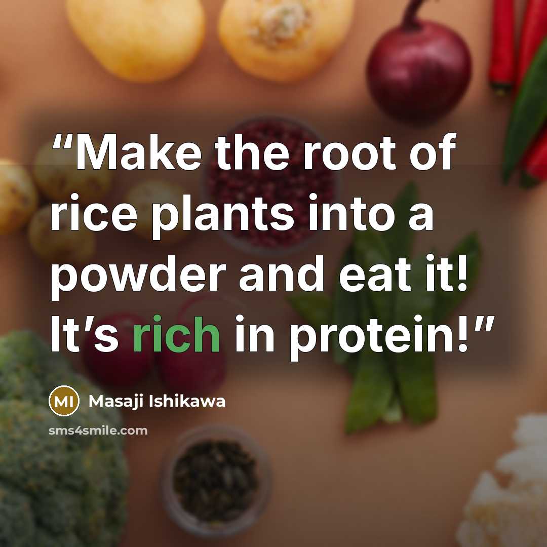 “Make the root of rice plants into a powder and eat it! It’s rich in protein!” quote by Masaji Ishikawa