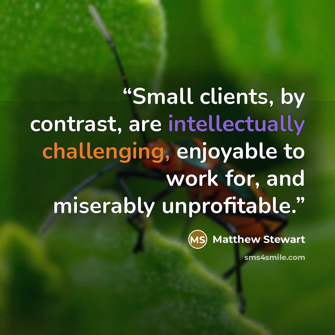 “Small clients, by contrast, are intellectually challenging, enjoyable to work for, and miserably unprofitable.” quote by Matthew Stewart