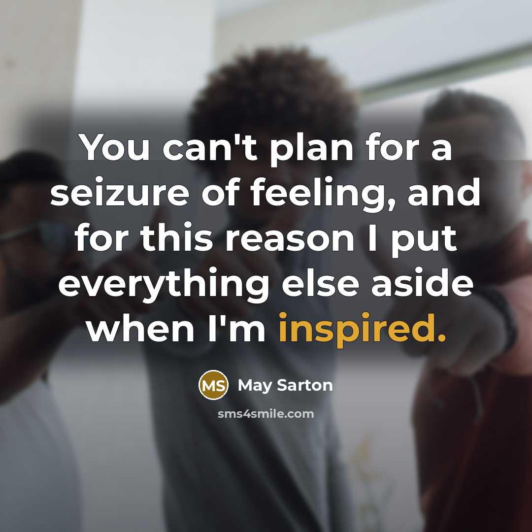 “You can't plan for a seizure of feeling, and for…” quote by May Sarton