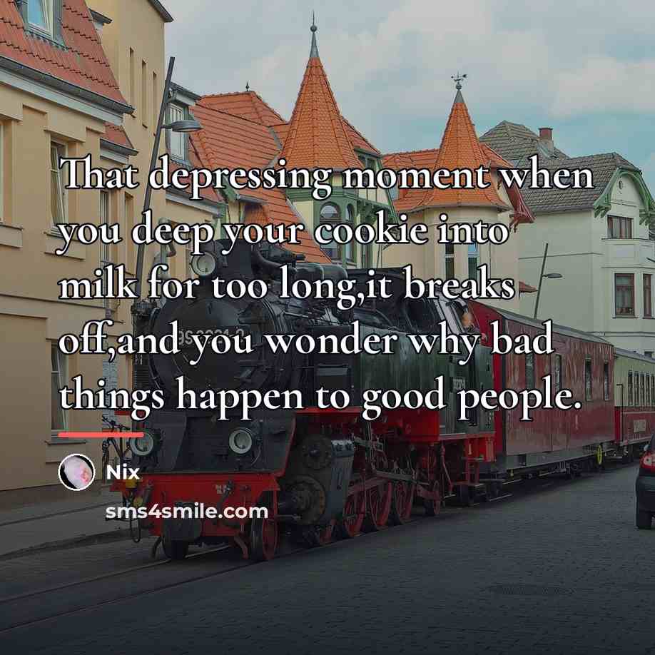 “That depressing moment when you deep your cookie into milk…” quote by Nix